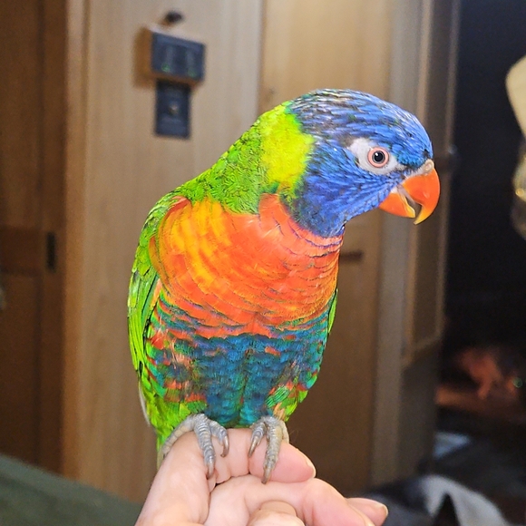 Meet your Posher, Thanh - Picture 6 of 10